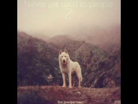 Never get used to people - Зажигай Солнце