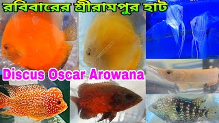 Oscar Arowana Discus Aquarium Fish শ্রীরামপুরের হাটে | Aquarium Fish Price | Serampore Pet Market