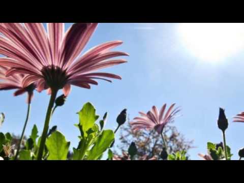☆ Zůstaň tady léto - Hana Zagorová ☆ [HD]
