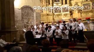 preview picture of video 'Concierto de Navidad 2014 en Arróniz - Coro'