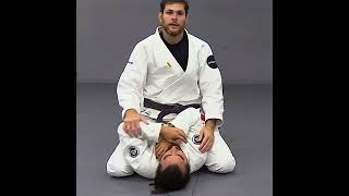 Roger Gracie Demonstrates Effective Wrist Lock from Mount Position