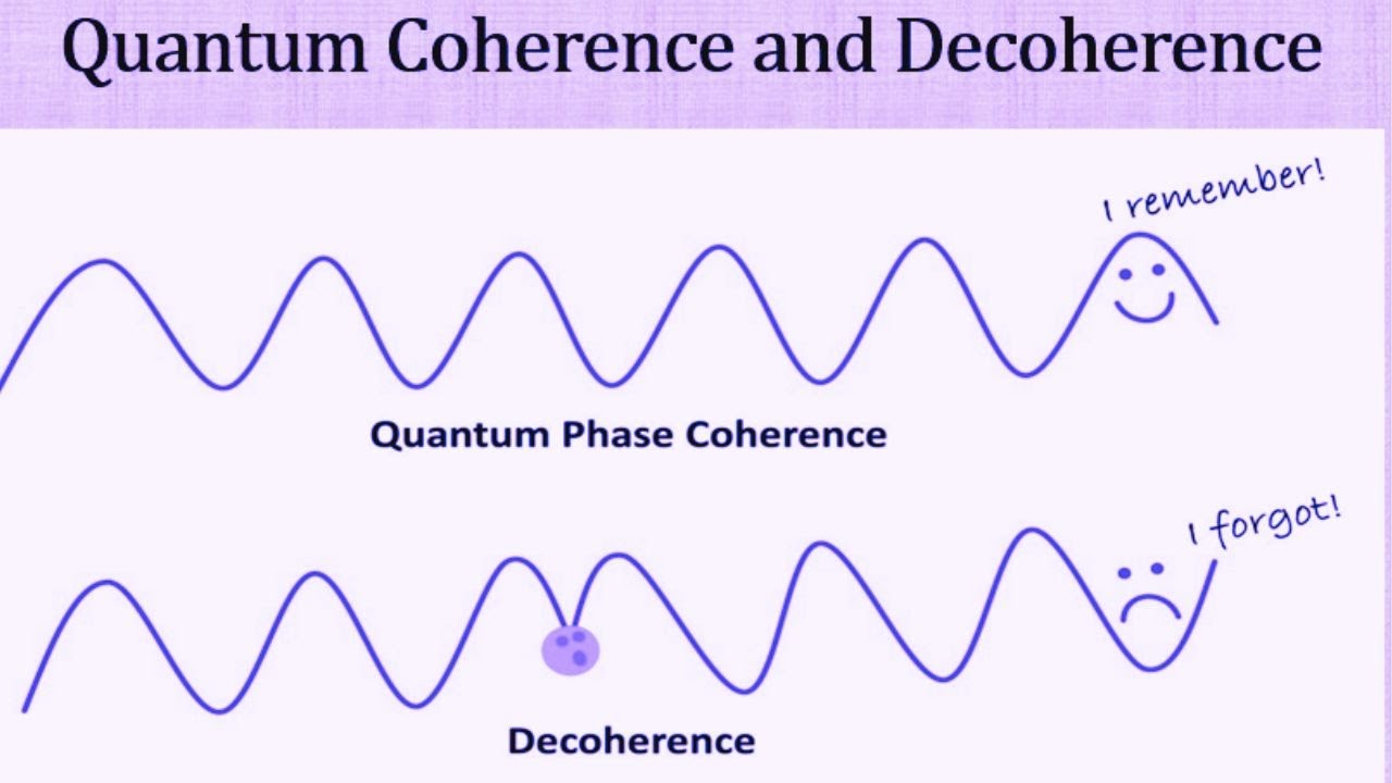 Quantum Coherence and Decoherence Explained