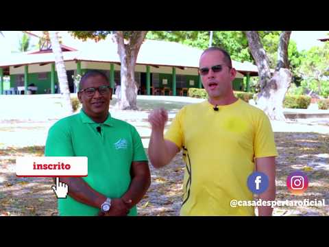 A Motivação no Tratamento da Dependência Química