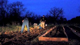 preview picture of video 'Liberty Root tilling winter garlic garden beds - Fall 2013'