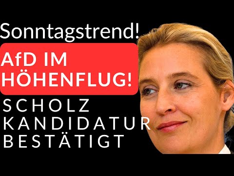 🚨SONNTAGSTREND! AfD im Aufwind - Scholz bestätigt!🚨