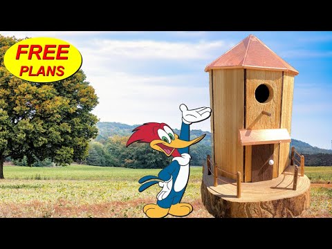 Making the Octagon Bird Barndominium - FREE PLANS