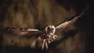 Rotting Christ- Moonlight