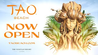 NOW OPEN TAO Beach Dayclub 2 Season