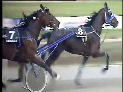 Trotto 05/01/2018 - 3ª corsa