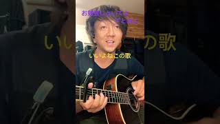 お勉強しといてよ　ずとまよ　アコギ　サビ　弾き語り　アラサー