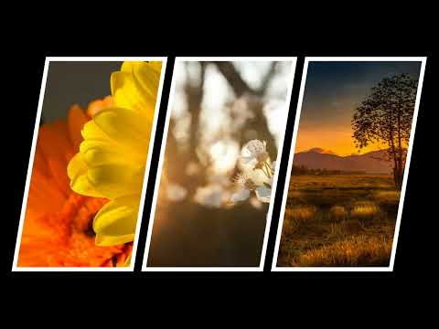 Marija Grozdanovic i NO Carevac   Po mesecini