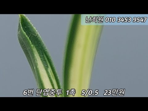 유튜브 썸네일