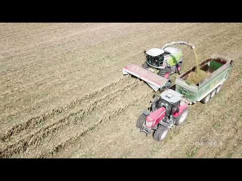 DOMAI MPD 612 CLAAS 980 STOCCHI MAIS