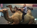Happy 11th Birthday Darrin Khan