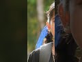 Nangeli Poove Whatsapp Status Malikapuram Unnimukundan Unnimukundan Malikapuram Movie New