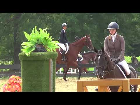 2017-08-26 HITS Culpeper Equitation