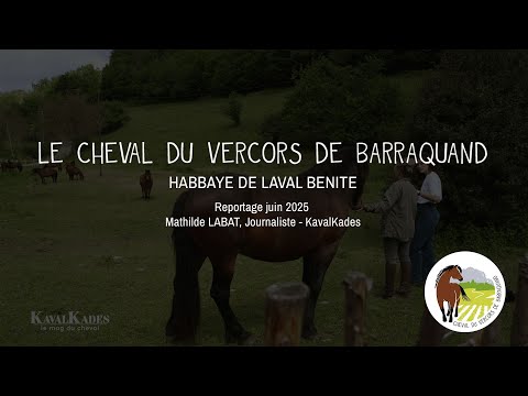 Reportage TV de 2025 sur une éleveuse de chevaux du Vercors de Barraquand