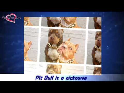 ATTS AGGRESSION TESTING