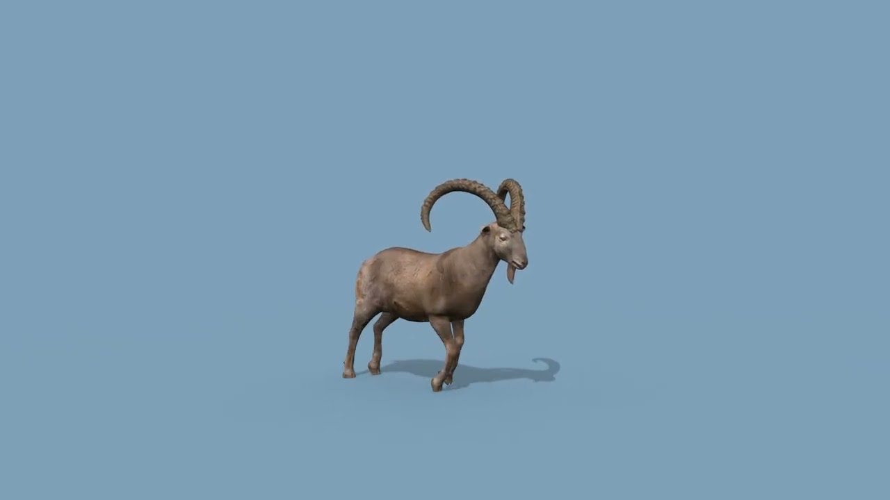 최고의 IBEX 8K - 3D 애니메이션 3D 모델