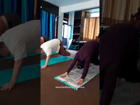 Haritha Yogshala short