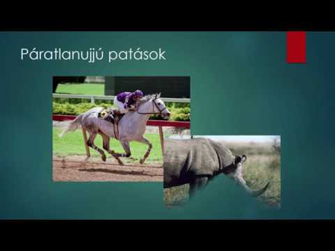 parazita kezelési tippek a paraziták példái a gazdaszervezetük