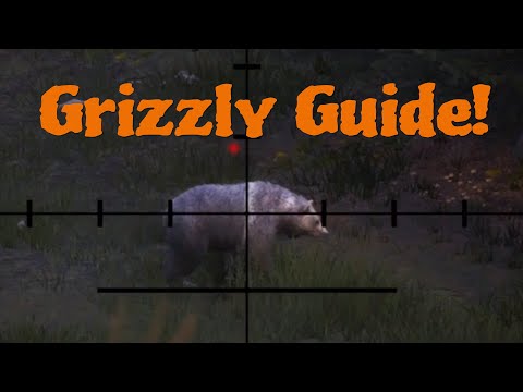 Grizzly Bear Guide Hunting Simulator 2