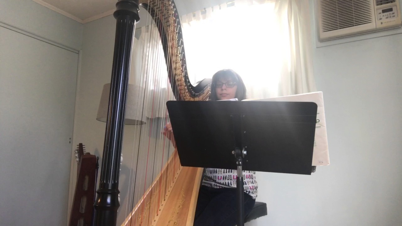 Promotional video thumbnail 2 for Skyla Budd