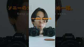 買い替えてバレない最高のカメラ、それがSony α1だ。
