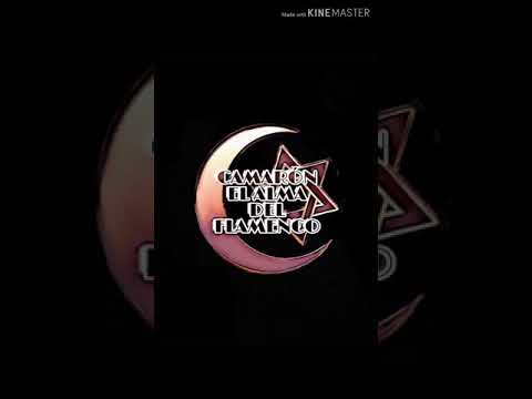 CAMARÓN DE LA ISLA - bulerias