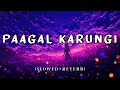 Paagal Karungi Dill Bill Official Slowed Reverb Music Video