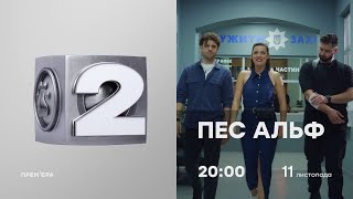 ПЕС АЛЬФ - ГАРЯЧА ПРЕМ'ЄРА на ICTV2 - з 11 листопада