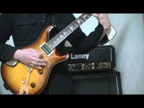 NIGHTWISH(GARY MOORE) Over The Hills And Far Away cover