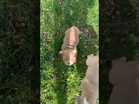 Outside HH Crew Tressy Champ Journee