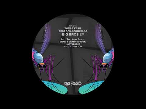 Tomi&Kesh, Pedro Vasconcelos - The Vibe (Martin OCCO Remix)