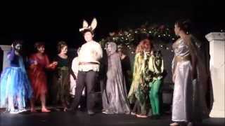 Midsummer Night's Dream