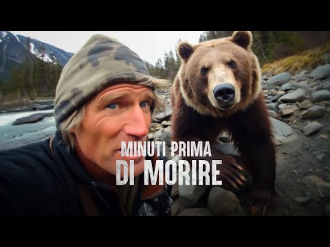 Perché grizzly man non è sopravvissuto: ripreso mentre viene mangiato vivo