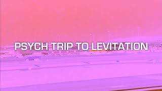 PSYCH TRIP TO LEVITATION - Austin Psych Fest 2015 - Part Three
