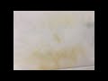 Deep Rust Stain Removing On Austin White Italian Marble