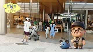【日常VLOG】WWDC2026前日のクパチーノは穏やかでした ep3149