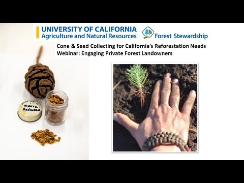 Cone & Seed Collection:  A Forest Stewardship Education Program Webinar