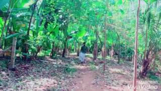 Kodi Parakkudha 😎