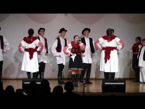 Songs and Dances from Podravina by Skalinada Ensemble