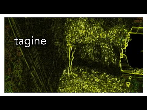 Tagine WILL CALHOUN NATIVE LANDS