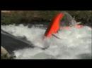 kayak freestyle