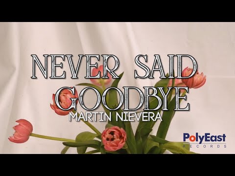 Never Said Goodbye - Martin Nievera
