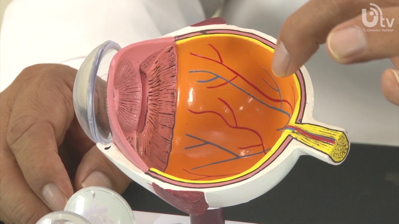 Edgar Angel Hidalgo Pecho-91