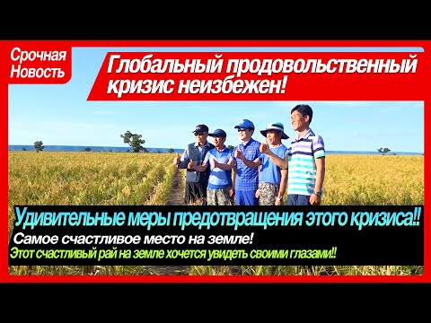 [Russian 러시아어] «Doаlnara Oasis Farm», Самое счастливое место на Земле!