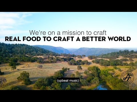 World Soil Day: Our Partnership with Richards Grassfed...