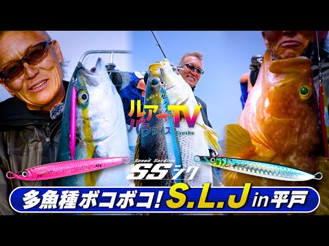 [S.L.J] Super light jigging to enjoy a variety of fish species! Off the coast of Hirado [Neko Met...