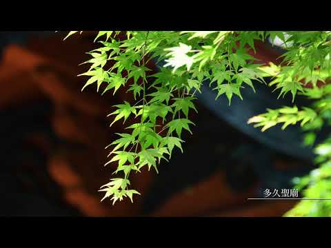 TAKU Special Movie【季節編】（佐賀県多久市）